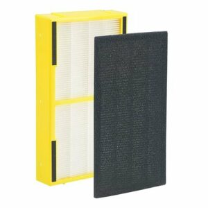 Genuine HEPA Pure Replacement Filter E for GermGuardian Air Purifier Model AC4100 - Black/White