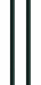 AudioQuest - RJE Forest 4.9' In-Wall Ethernet Cable - Black/Green