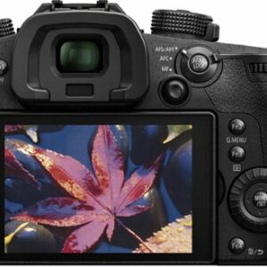 Panasonic - LUMIX GH5 Mirrorless 4K Photo Digital Camera (Body Only) - DC-GH5KBODY - Black