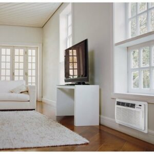 LG - 330 Sq. Ft. 8000 BTU Through-the-Wall Air Conditioner - White