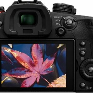 Panasonic - LUMIX GH5S Mirrorless 4K Photo Digital Camera (Body Only) - Black