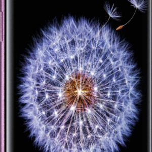 Samsung - Geek Squad Certified Refurbished Galaxy S9+ 64GB (Unlocked) - Lilac Purple