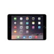 iPort - Surface Mount System for Apple® iPad® mini 4 - Silver