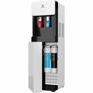 Dual Water Filters for Select Avalon Bottleless Water Coolers - White And Blue