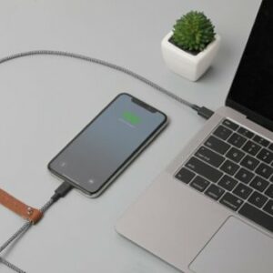 Native Union - 4' Fast Charging Lightning-to-USB Type C Cable - Zebra