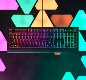 Razer - Cynosa V2 Full Size Wired Membrane Gaming Keyboard with Chroma RGB Backlighting - Black