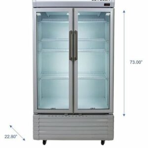 Premium Levella - 16.0 cu. ft. 2-Door Commercial Merchandiser Refrigerator Glass-Door Beverage Display Cooler - Silver