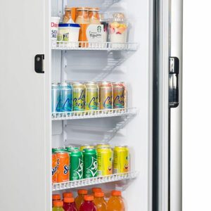 Premium Levella - 9 cu. ft. 1-Door Commercial Merchandiser Refrigerator Glass-Door Beverage Display Cooler - Silver