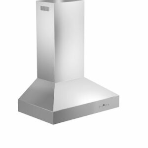 ZLINE - 30 in. Outdoor Wall Mount Range Hood in Stainless Steel (667-304-30) - Silver