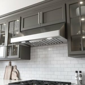 Zephyr - Tempest I 36 in. 650 CFM Under Cabinet Mount Range Hood with LED Light - Stainless Steel