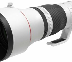 Canon - RF600 F4 L IS USM Telephoto Prime Lens for EOS R-Series Cameras - White