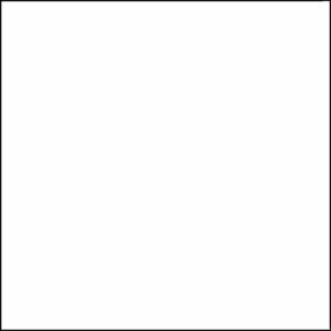 Savage Universal - Pure White Seamless Background Paper