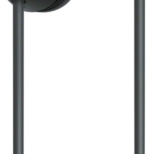 Sony - WIC100 Wireless In-ear Headphone - Black